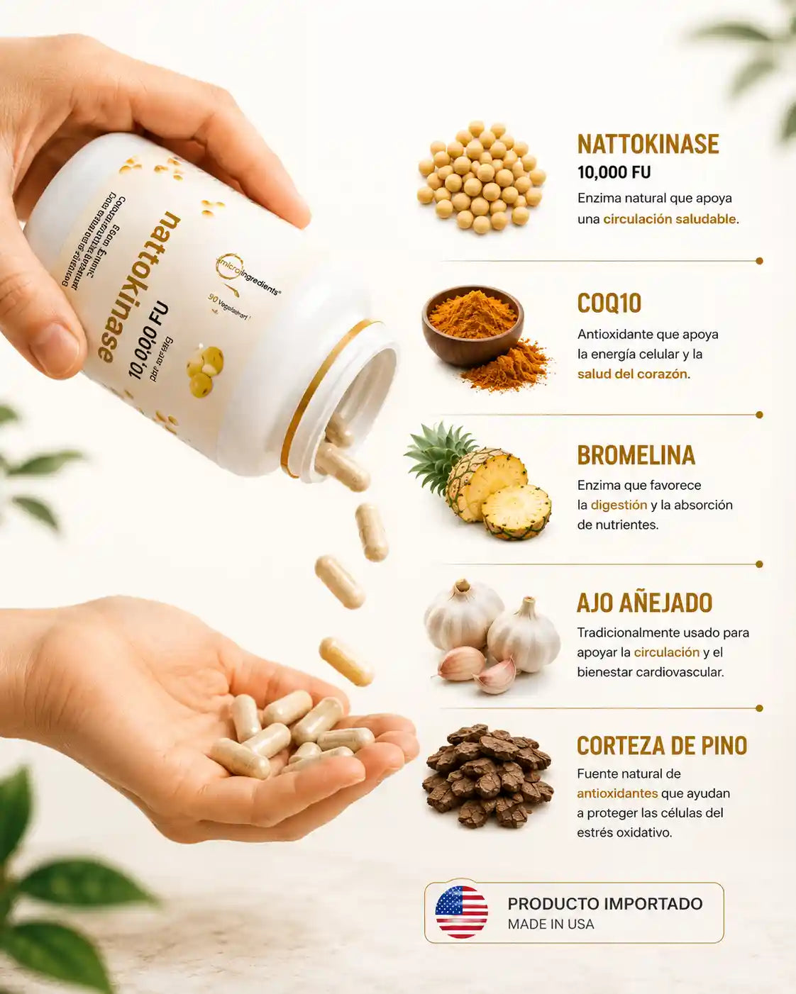 Mejora tu Circulación y Cuida la Salud de tu Corazón
