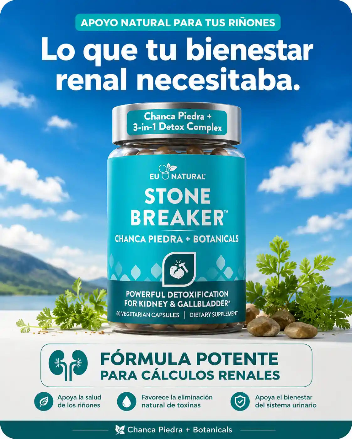 Recupera tu Bienestar y Elimina las Molestias de los Cálculos Renales